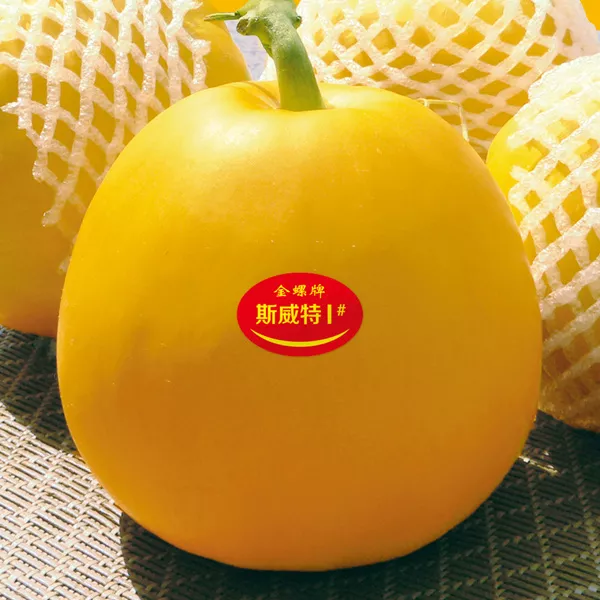 薄皮甜瓜，哪個品種最好呢？畝產(chǎn)高達(dá)10萬，附4種市場爆款品種