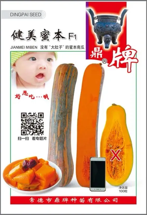 3元1斤的健美蜜本南瓜快成熟了，緬甸種植戶發(fā)來圖片與視頻