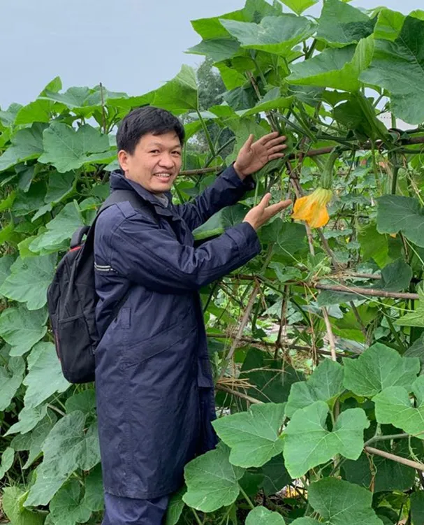 3元1斤的健美蜜本南瓜快成熟了，緬甸種植戶發(fā)來圖片與視頻