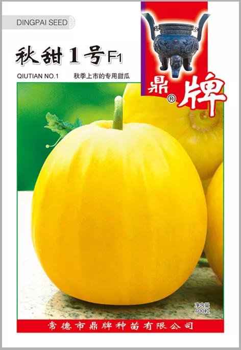 高溫季節(jié)種植甜瓜，什么品種最好？這個(gè)品種是秋季上市的專用品種