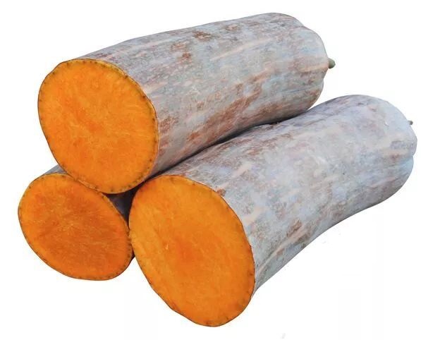 生吃都好吃南瓜新品種，沒有大肚子，肉質(zhì)更密致，農(nóng)戶試種下