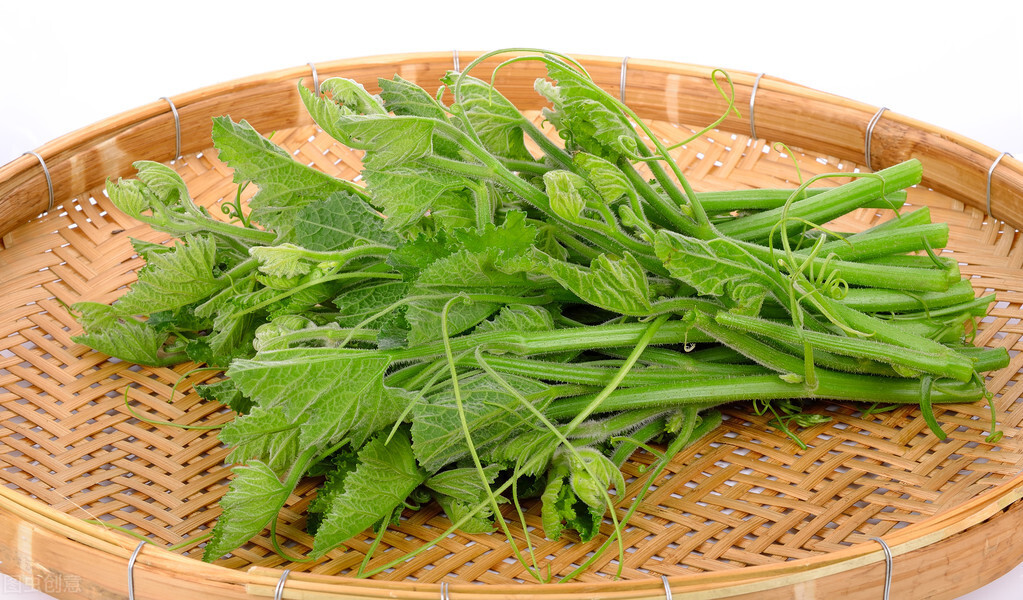 種這種綠葉菜，栽培輕松，畝產(chǎn)值過(guò)萬(wàn)元，菜農(nóng)表示很劃算
