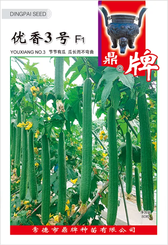 它是絲瓜種植戶的新選擇，節(jié)節(jié)有瓜，瓜長(zhǎng)而不彎曲