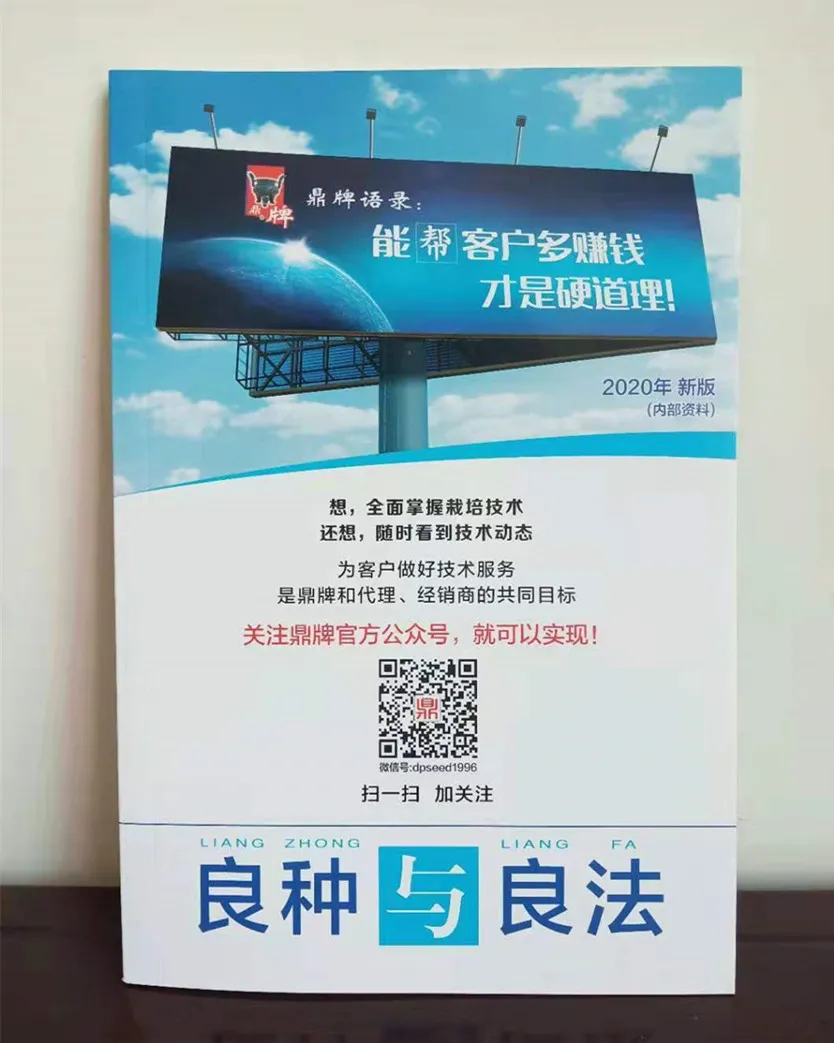 河南焦作的李向林今年種植甜瓜新品種，客戶直接拉貨走人