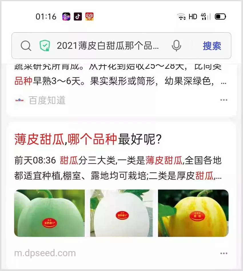 河南焦作的李向林今年種植甜瓜新品種，客戶直接拉貨走人