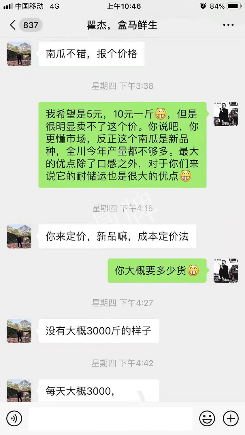 四川農戶今年種“健美蜜本”南瓜產量高，品質好，感覺巴適得很