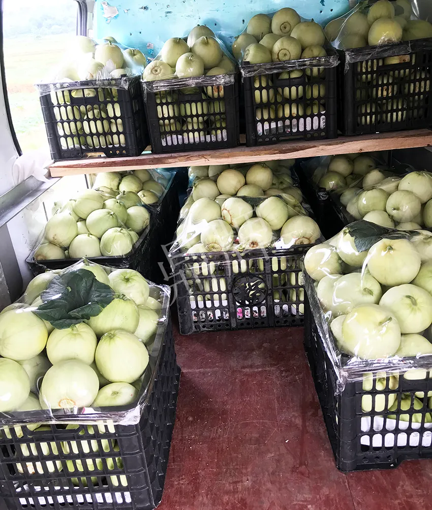 郴州農(nóng)戶種植新品種，果實又香又甜，很好賣