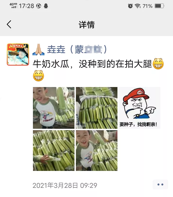 這個絲瓜每畝能掙3萬，沒種植的農(nóng)戶后悔得拍大腿