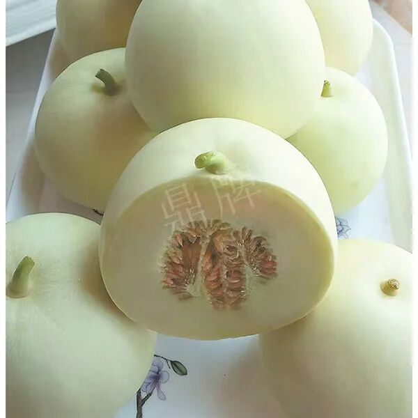 蔬菜種子種植戶種植心得-這個(gè)品種幫我留一些，4月份我們當(dāng)?shù)剡€要種一批