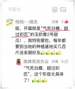 蔬菜種子種植戶客戶點(diǎn)評(píng)-“氣死白糖，甜過初戀”，您知道或體驗(yàn)過這句話嗎